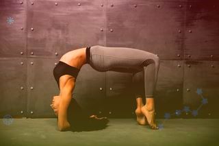 野棉花根的功效与作用