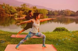 淮山的功效与作用