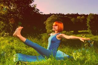 南烛的功效与作用