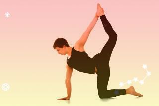 主要中药资源种类简述二