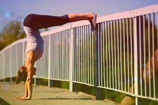 金盏菊花的功效与作用