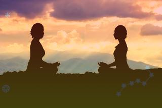 构树的功效与作用