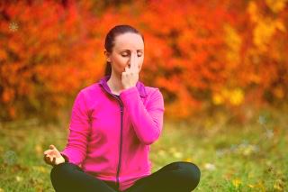 广东万年青的功效与作用