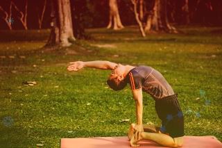 泻利药之郁李仁